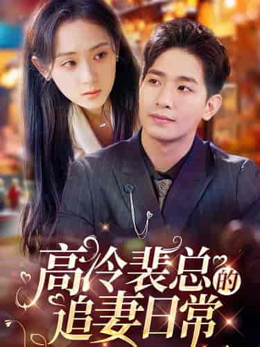 高冷裴总的追妻日常（49集全） - 傲图好剧