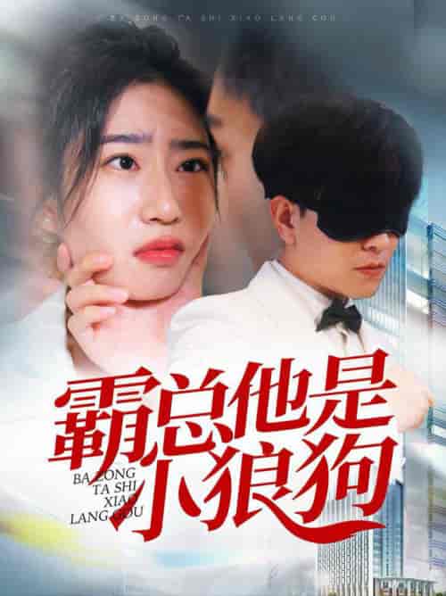 霸总他是小狼狗（31集全） - 傲图好剧