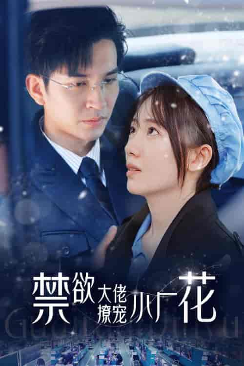 禁欲大佬撩宠小厂花＆小可怜靠生子宠冠电子厂（54集） - 傲图好剧