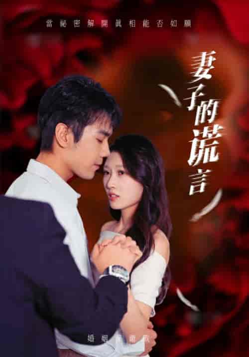 妻子的谎言（41集全）邵宇＆林诗诗 - 傲图好剧