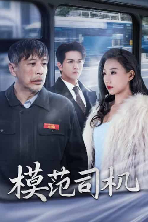 模范司机（30集全） - 傲图好剧