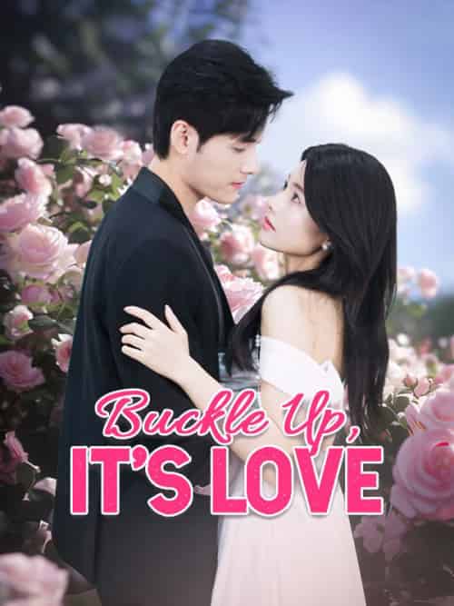 Buckle Up, It's Love Buckle Up, It's Love