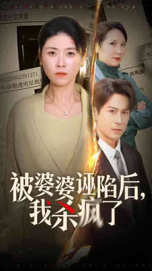 被婆婆诬陷后我杀疯了（30集全）诸玲颖 - 傲图好剧