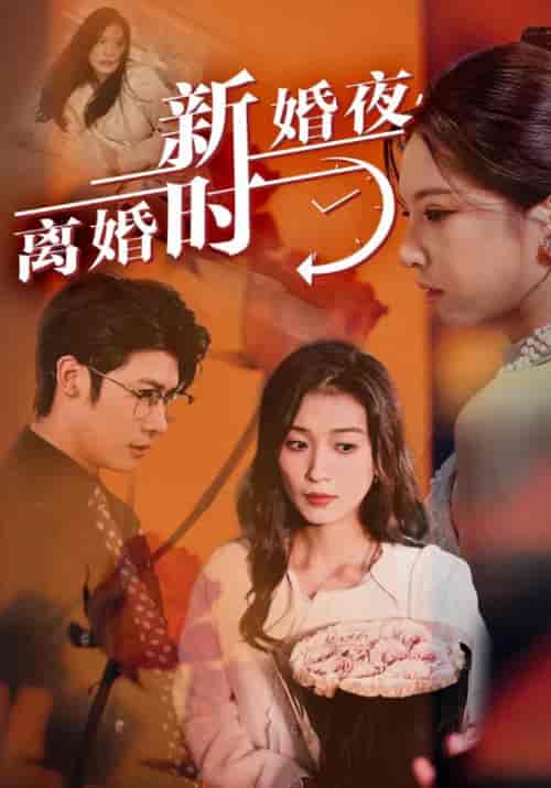 新婚夜，离婚时（35集全） - 傲图好剧