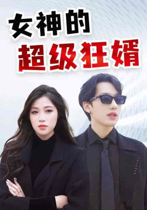 女神的超级狂婿（100集全）萧天龙＆杨如雪 - 傲图好剧