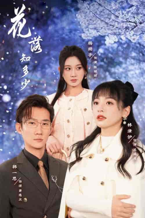 花落知多少＆哥哥逆光而来（27集全） - 傲图好剧
