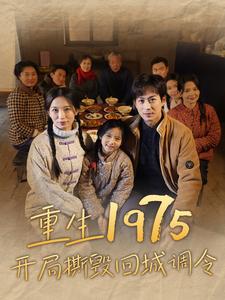 重生1975开局撕毁回城调令（83集） - 傲图好剧