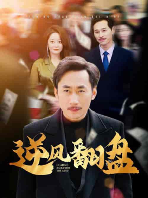 逆风翻盘（30集全） - 傲图好剧