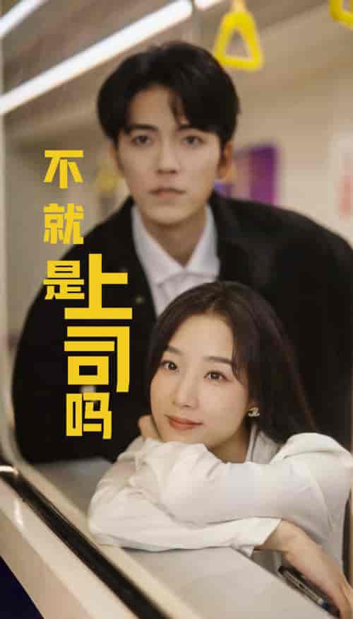 不就是上司吗（80集全）王小亿＆吴竹熙 - 傲图好剧