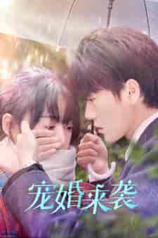 宠婚来袭（102集） - 傲图好剧
