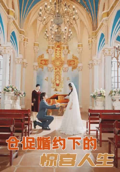 仓促婚约下的惊喜人生（99集全）顾明修＆舒欣 - 傲图好剧