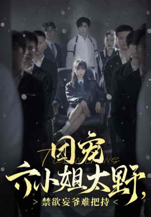 团宠六小姐太野，禁欲妄爷难把持（90集全）秦无妄＆叶笙 - 傲图好剧