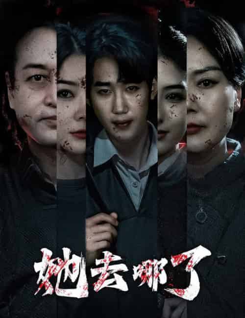 她去哪了（56集全）林初 - 傲图好剧