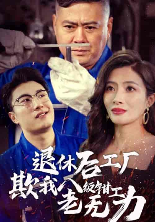 退休后工厂欺我八级钳工老无力（35集全）徐一锉＆张兰 - 傲图好剧