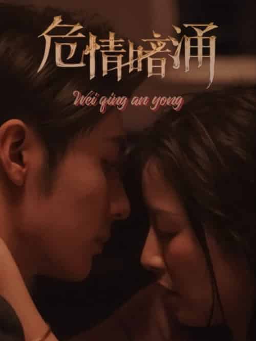 危情暗涌（81集全）王子林＆谭雯文 - 傲图好剧