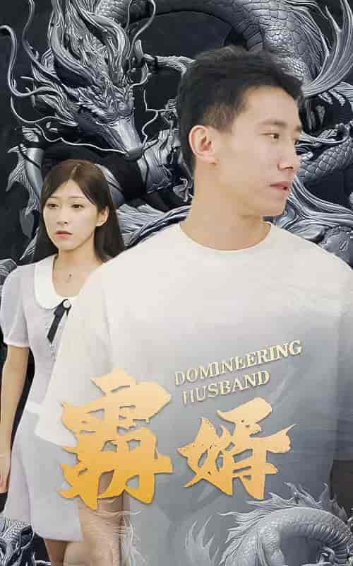 霸婿-60集 - 傲图好剧
