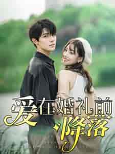 爱在婚礼前降落（50集）白昕怡 朱一未 - 傲图好剧