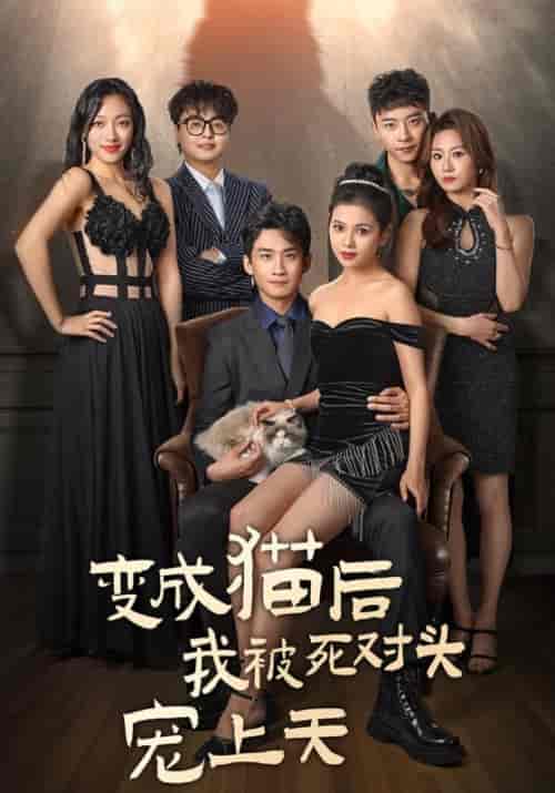 变成猫后被死对头宠上天（86集全）南宫廷逸＆宁萌 - 傲图好剧