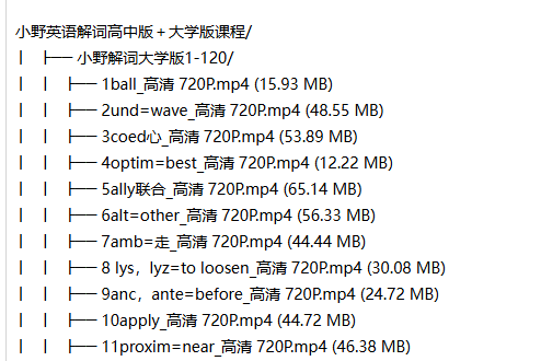 小野英语解词高中版＋大学版课程