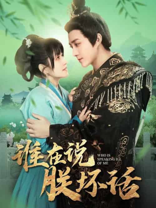 谁在说朕坏话(119集全)陈楚洹&曲笑孝