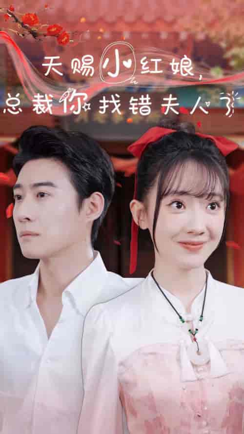 天赐小红娘总裁你找错夫人了（65集全）赵振栋 - 傲图好剧