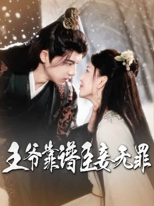 王爷靠谱臣妾无罪（89集全）黄子淇＆马蕊 - 傲图好剧