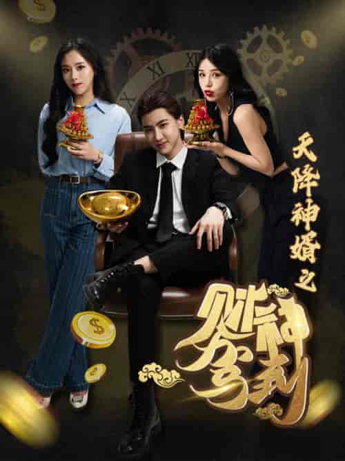 天降神婿之财神驾到（86集全） - 傲图好剧