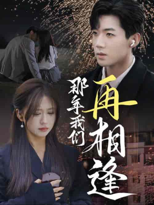 那年我们再相逢（65集全）张北淅＆柴慧欣 - 傲图好剧
