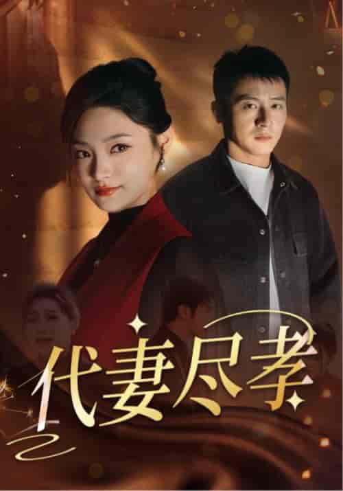 代妻尽孝（30集全）苏浩＆林清月 - 傲图好剧