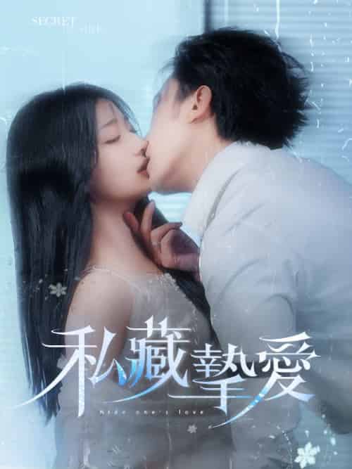 私藏摯愛（100集全）南夜爵＆容恩 - 傲图好剧
