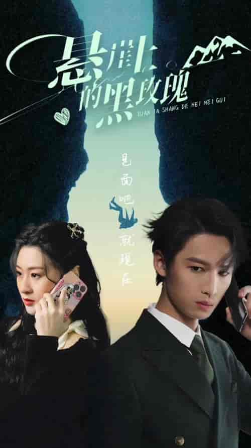 悬崖上的黑玫瑰 悬崖上的黑玫瑰