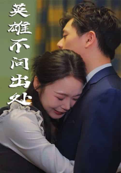 英雄不问出处（34集全） - 傲图好剧