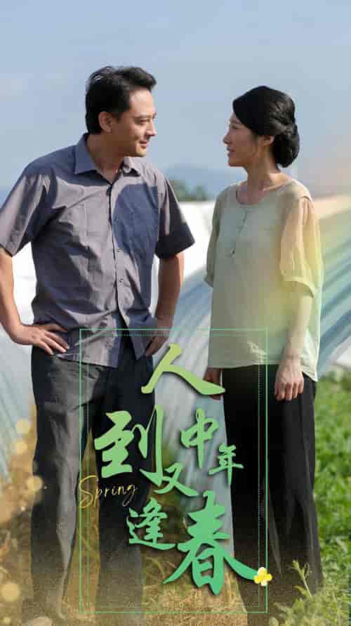 人到中年又逢春（61集全） - 傲图好剧