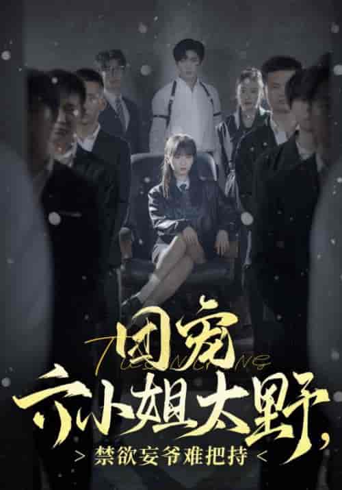 团宠六小姐太野，禁欲妄爷难把持（90集全）张北淅 - 傲图好剧