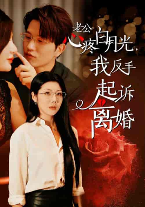 公疼白月光我反手起诉离婚（42集全）汪天予 - 傲图好剧