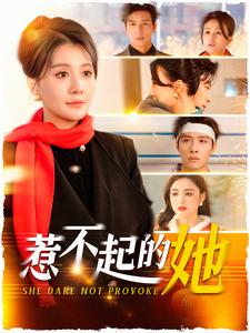 惹不起的她（106集）屈婉琼 - 傲图好剧