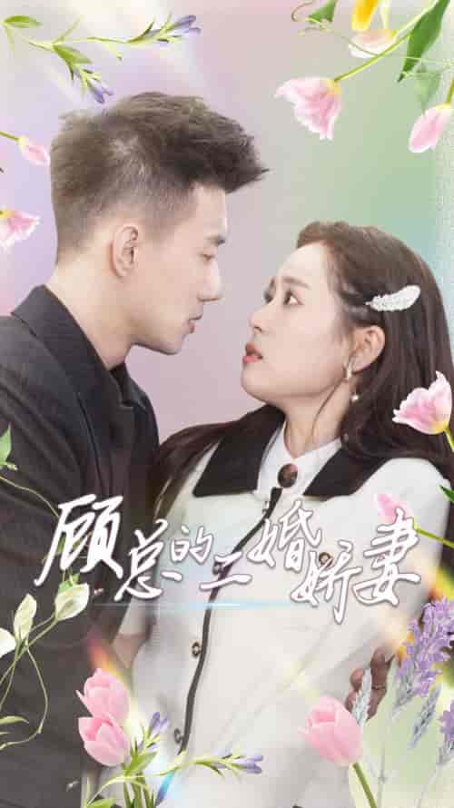 顾总的二婚娇妻 顾总的二婚娇妻