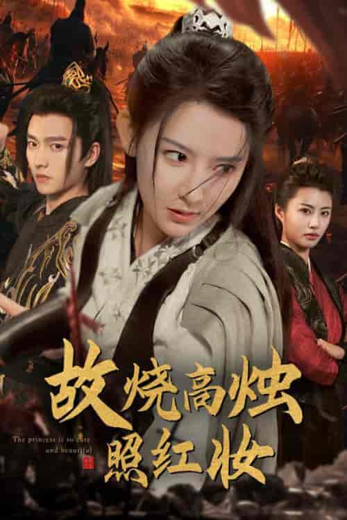 故烧高烛照红妆（62集全）秦天爱 - 傲图好剧