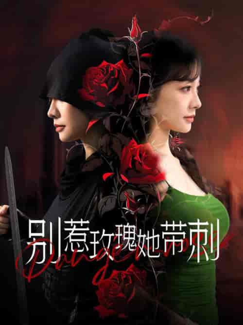 别惹玫瑰她带刺（100集全） - 傲图好剧