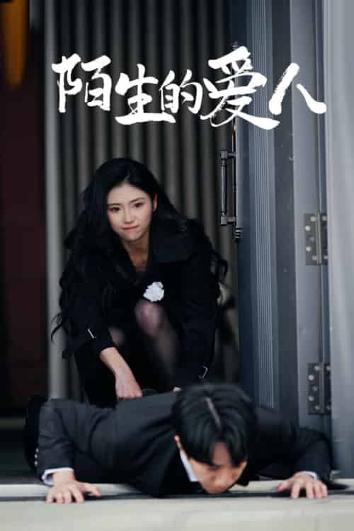 陌生的爱人 陌生的爱人