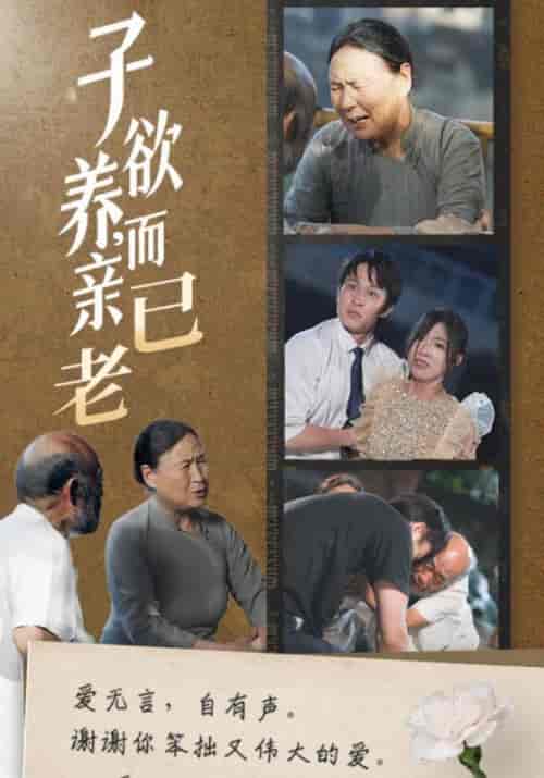 子欲养，而亲已老（58集全）庄天赐＆宋暖 - 傲图好剧