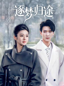 逐梦归途（60集全）孙博文＆唐雪晴 - 傲图好剧