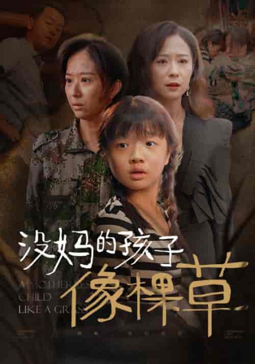 没妈的孩子像棵草（50集全）张大强＆田素红 - 傲图好剧