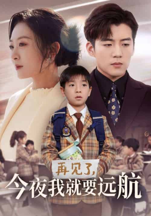 再见了今夜我就要远航（49集全）杜培源＆程琳淼 - 傲图好剧