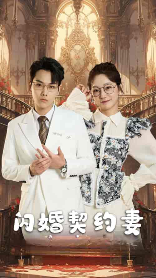 闪婚契约妻＆闪婚契约妻为夫来晚了（80集） - 傲图好剧