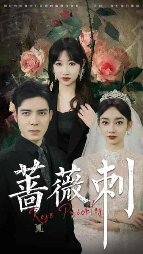 蔷薇刺（20集） - 傲图好剧