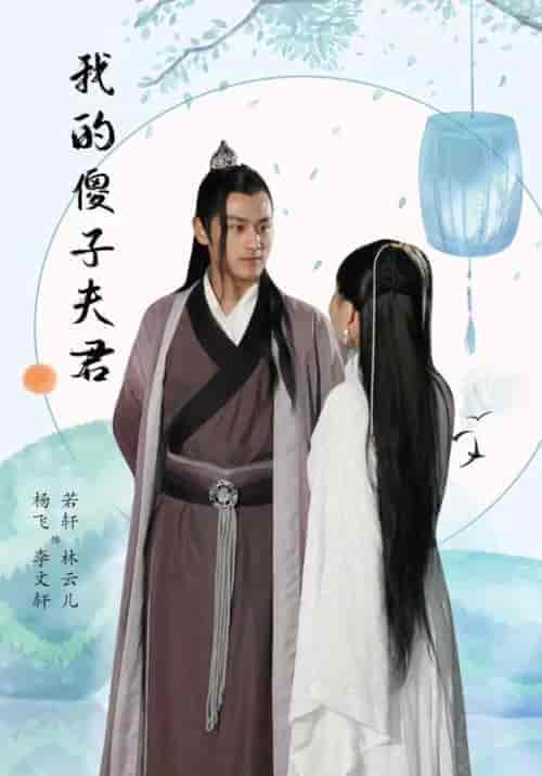 我的傻子夫君（23集全）李闻轩＆林云儿 - 傲图好剧