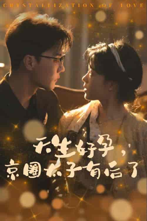 天生好孕京圈太子有后了＆你与光共落人间（30集全）杜亚飞 - 傲图好剧