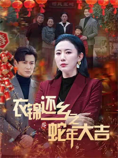 衣锦还乡之蛇年大吉（60集） - 傲图好剧