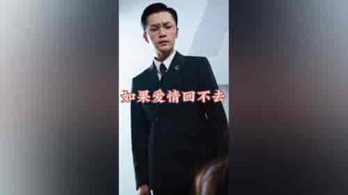 如果爱情回不去（71集） - 傲图好剧